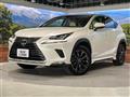 2019 Lexus NX