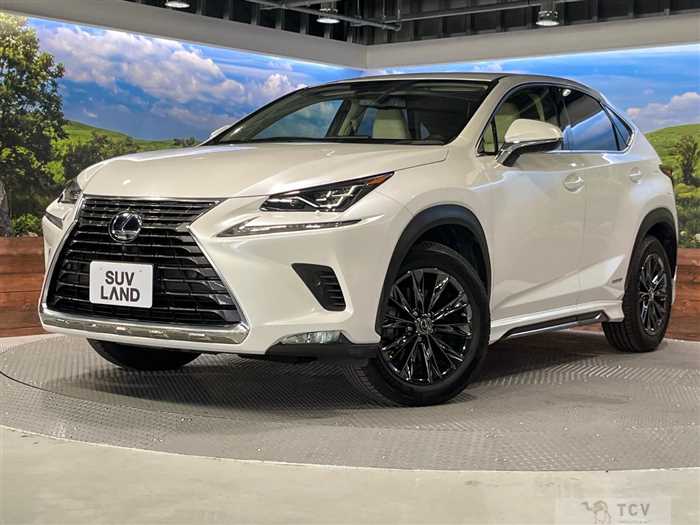 2019 Lexus NX