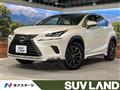 2019 Lexus NX
