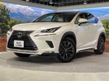 2019 Lexus NX