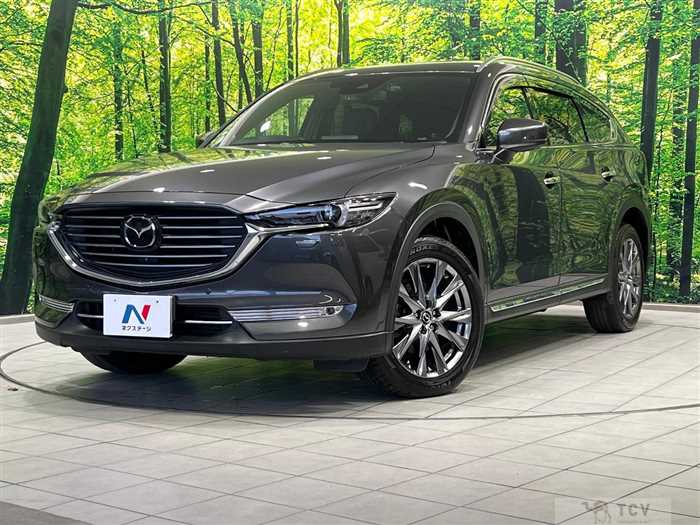 2019 Mazda CX-8