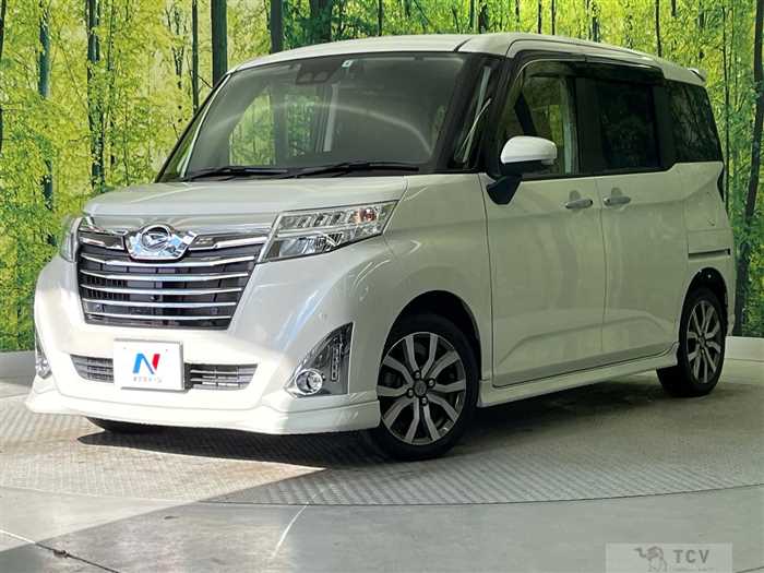 2019 Daihatsu Daihatsu Others