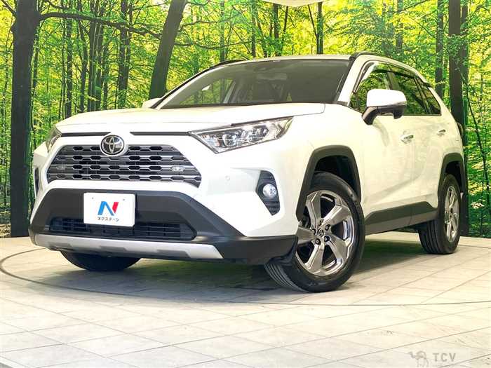2020 Toyota RAV4