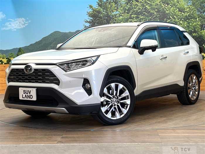 2019 Toyota RAV4