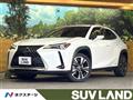 2020 Lexus Other