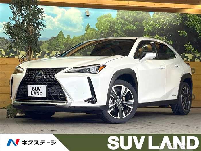 2020 Lexus Other
