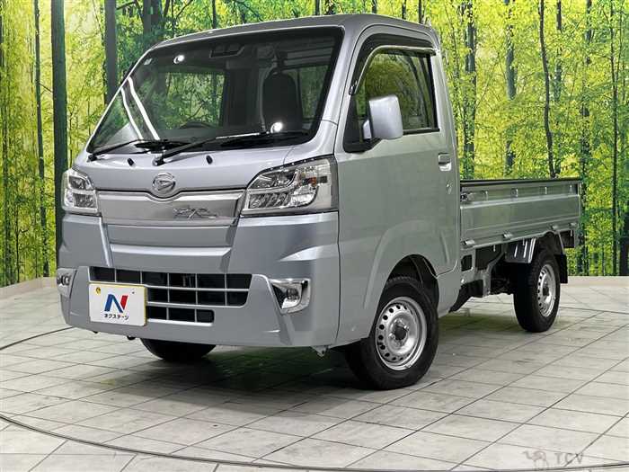 2021 Daihatsu Hijet Truck