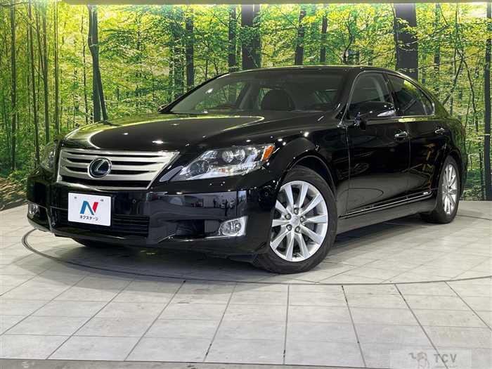 2010 Lexus LS