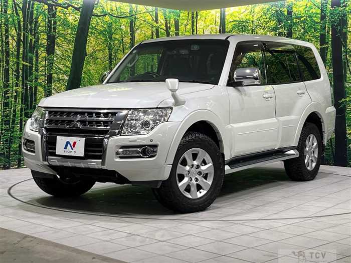 2015 Mitsubishi Pajero