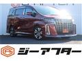 2020 Toyota Alphard G