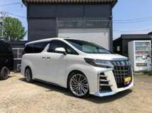 2018 Toyota Alphard G