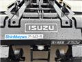 2010 Isuzu Isuzu Others
