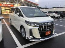 2019 Toyota Alphard G
