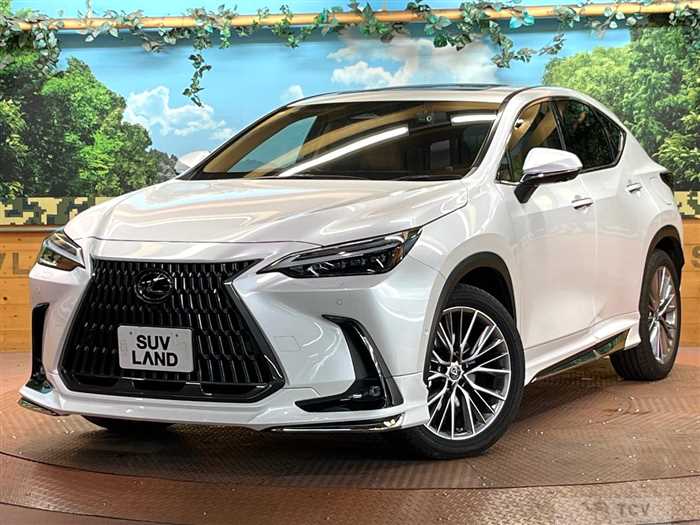 2023 Lexus NX