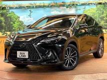 2024 Lexus NX