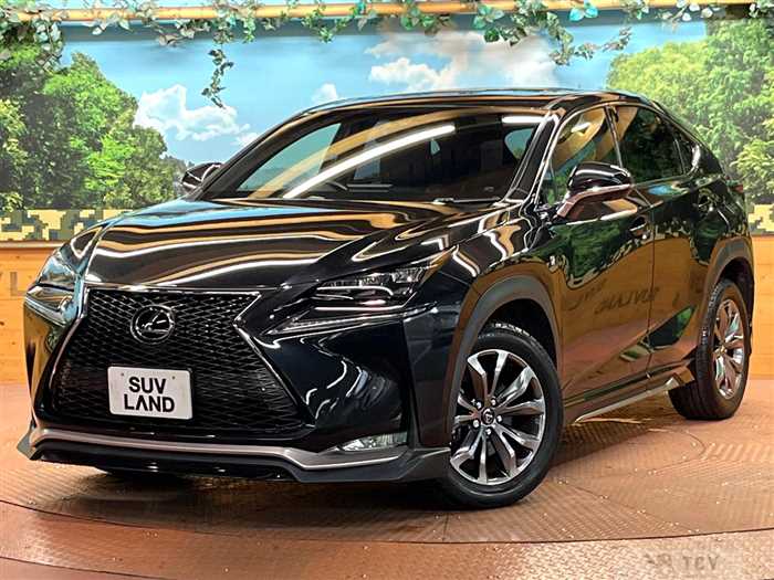 2016 Lexus NX