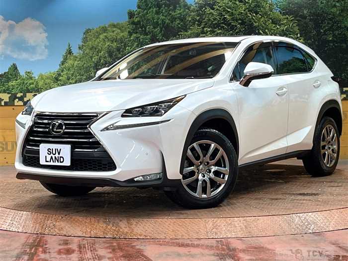 2016 Lexus NX