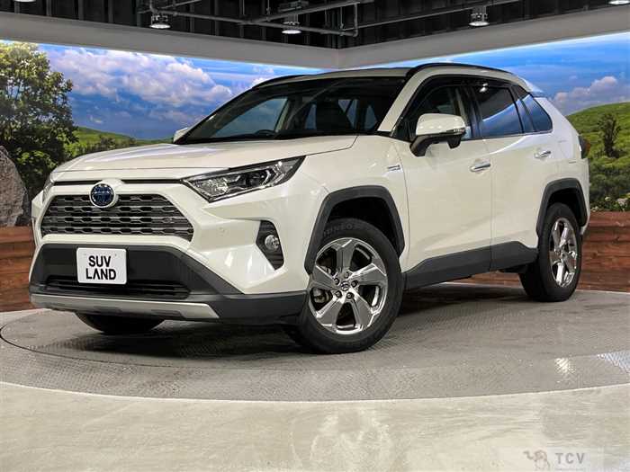 2020 Toyota RAV4