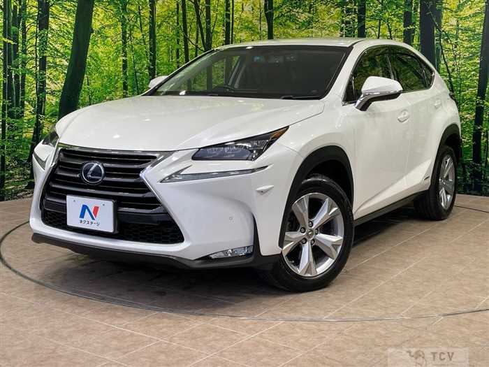 2017 Lexus NX