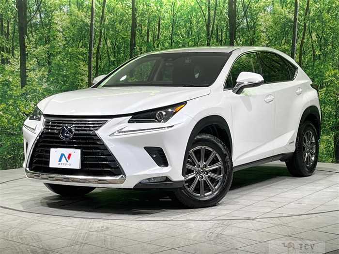 2017 Lexus NX