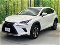 2019 Lexus NX