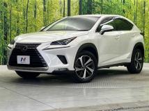 2019 Lexus NX