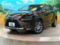 2019 Lexus NX