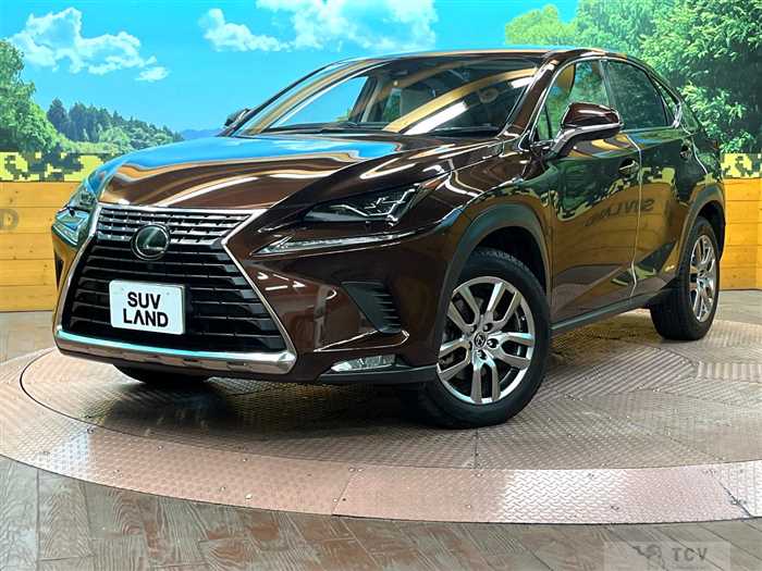 2019 Lexus NX