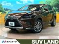 2019 Lexus NX