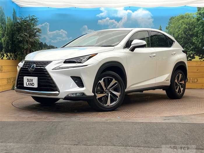 2021 Lexus NX