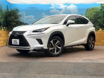 2021 Lexus NX