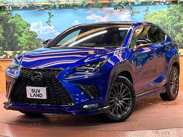 2019 Lexus NX