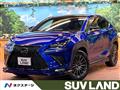 2019 Lexus NX