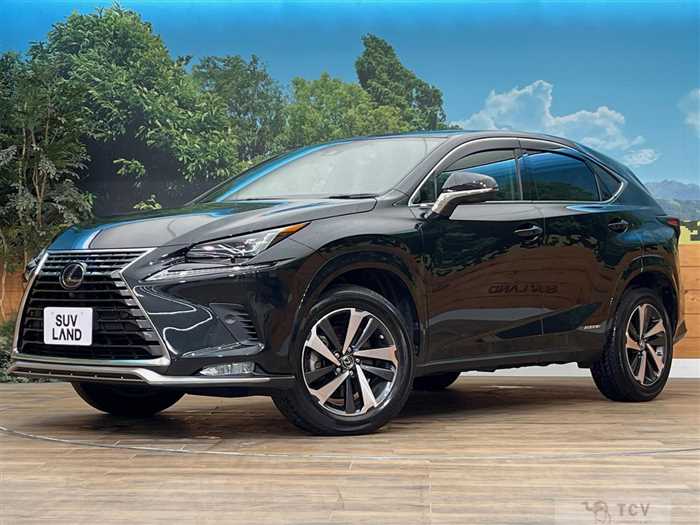 2021 Lexus NX