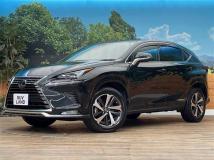 2021 Lexus NX