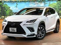 2021 Lexus NX