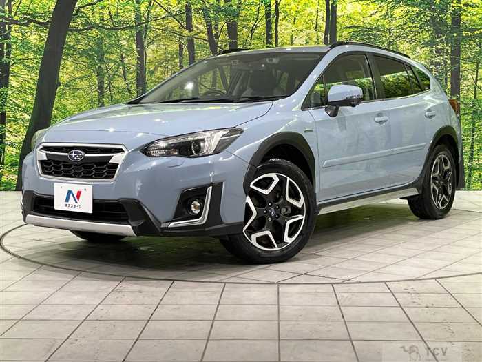 2019 Subaru Subaru Others
