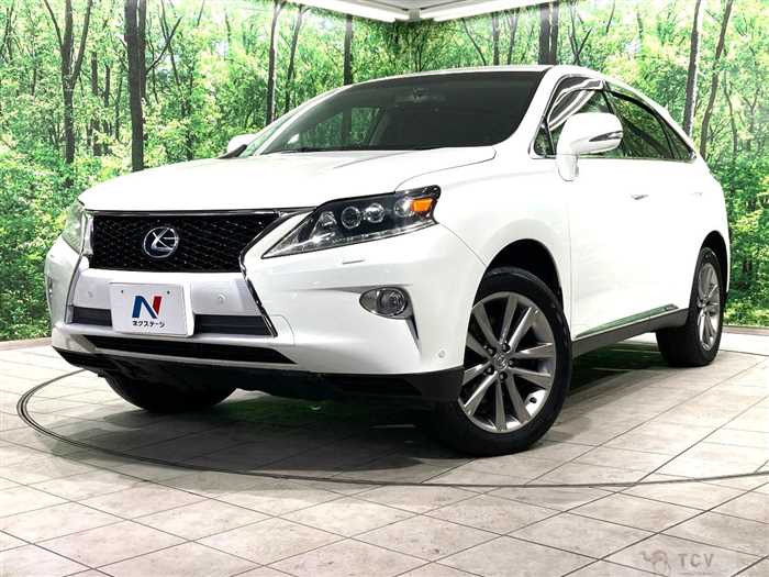2013 Lexus RX