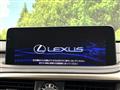 2021 Lexus RX