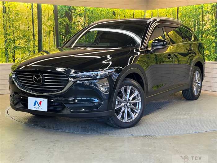 2019 Mazda CX-8