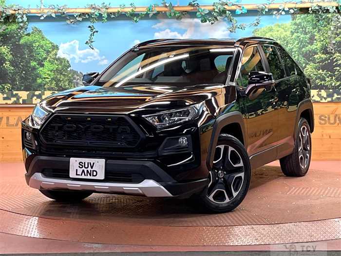 2019 Toyota RAV4