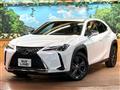2019 Lexus Other