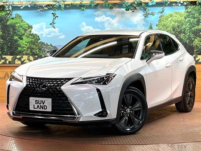 2019 Lexus Other