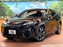 2019 Lexus Other