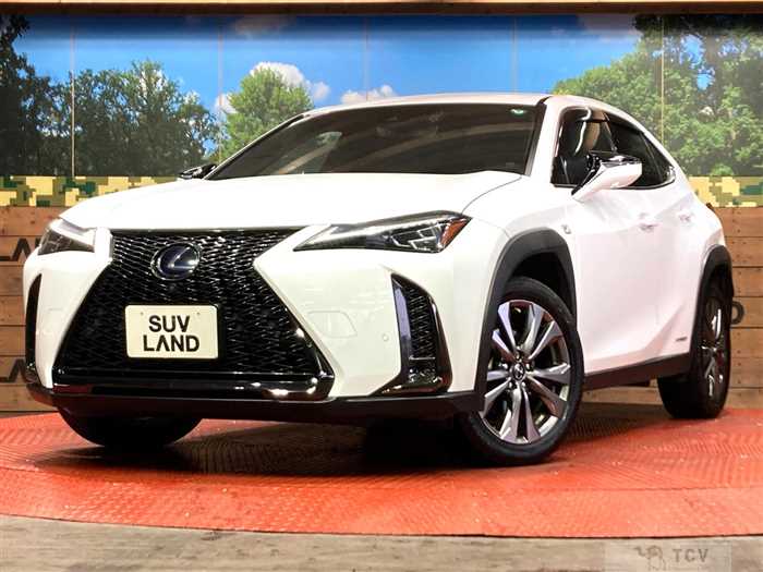 2019 Lexus Other