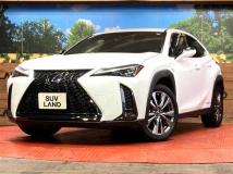 2019 Lexus Other