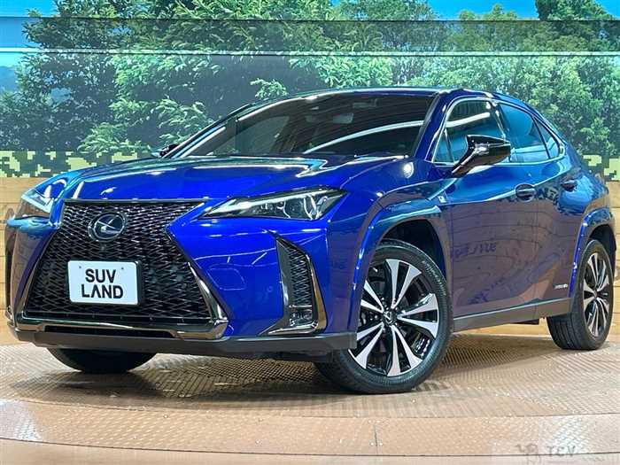 2022 Lexus Other