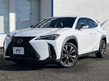 2018 Lexus Other