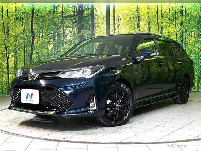 2019 Toyota Corolla Fielder