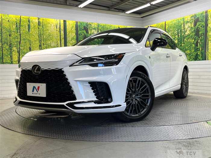 2024 Lexus RX